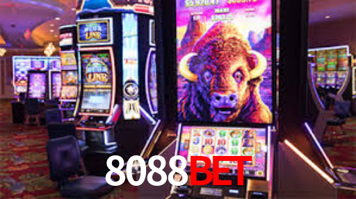 8088Bet
